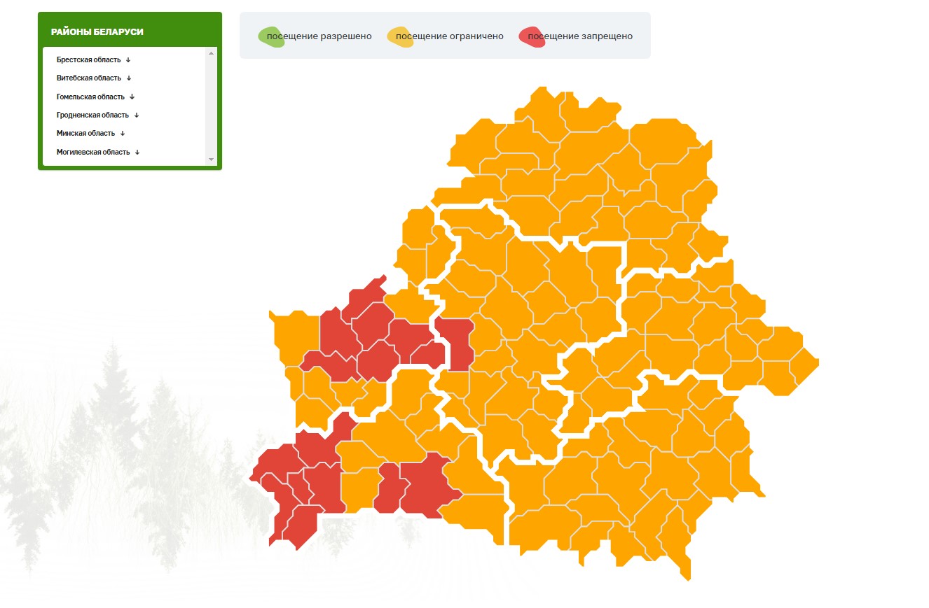 По всей Беларуси ограничили или запретили походы в лес