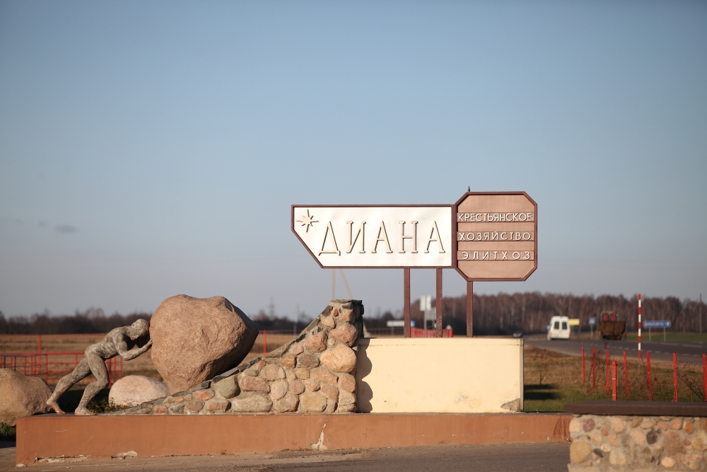 Крестьянское (фермерское) хозяйство «Диана»