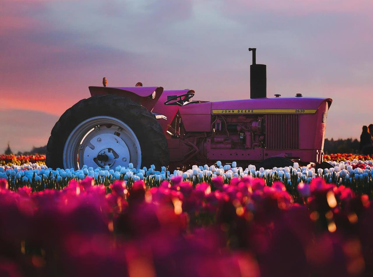 Грузия запретила белорусам реэкспортировать автомобили и спецтехнику