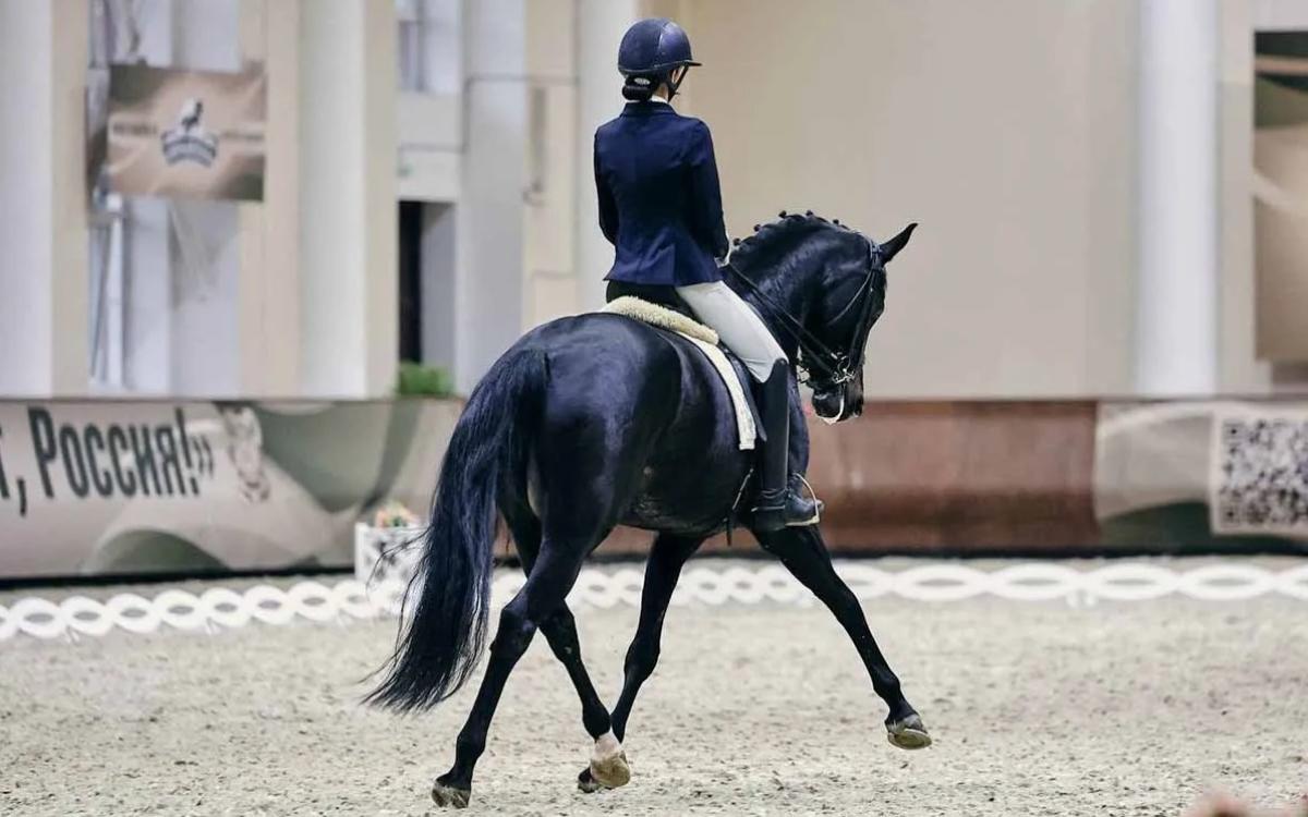 Белорусов и россиян допустили к командным соревнованиям по конному спорту