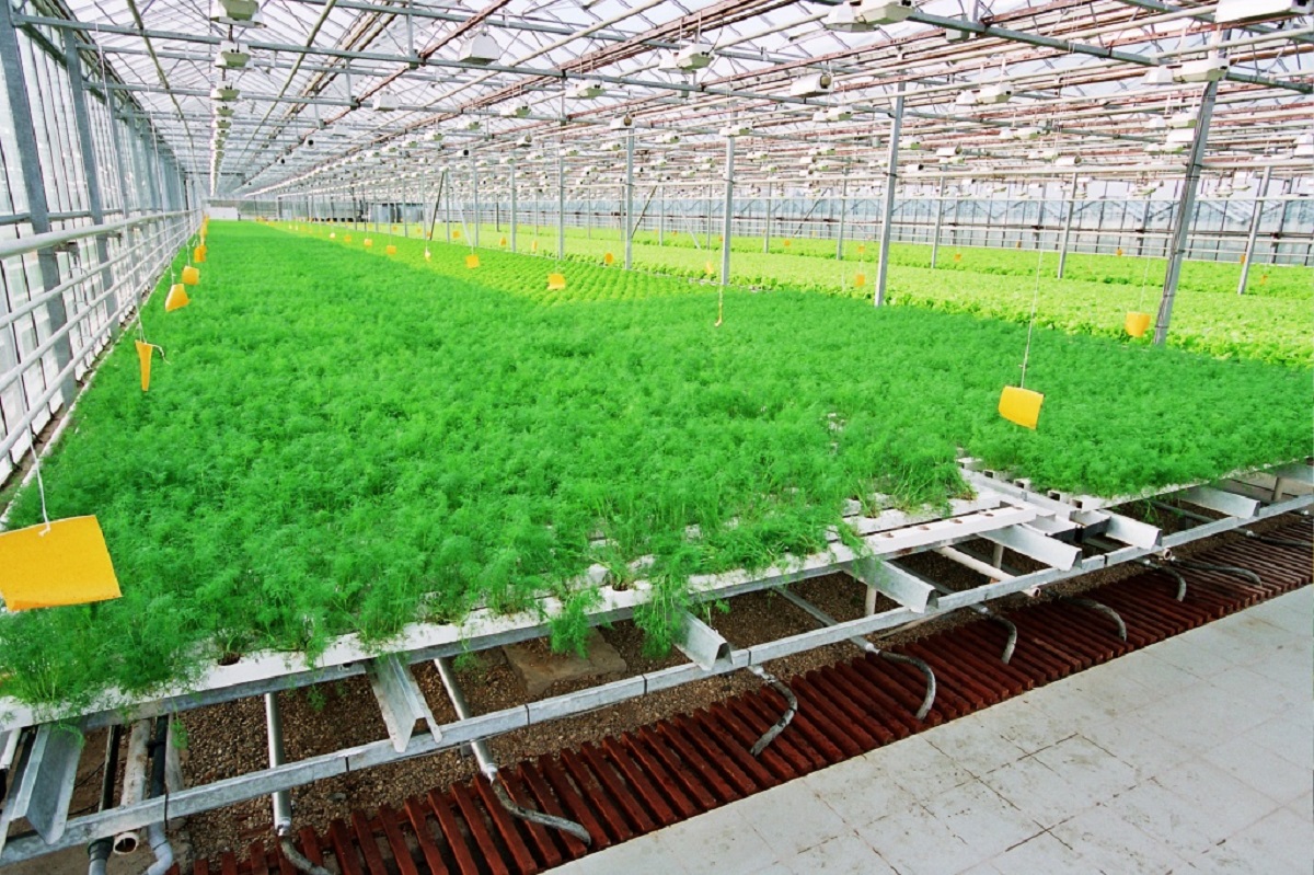 Государственный производитель овощей и цветов получил льготы при закупке удобрений