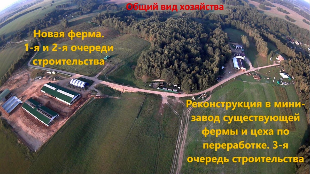 «Купите нас, недорого!» Что случилось с успешной козьей фермой и известным лабиринтом «Кукуполис»