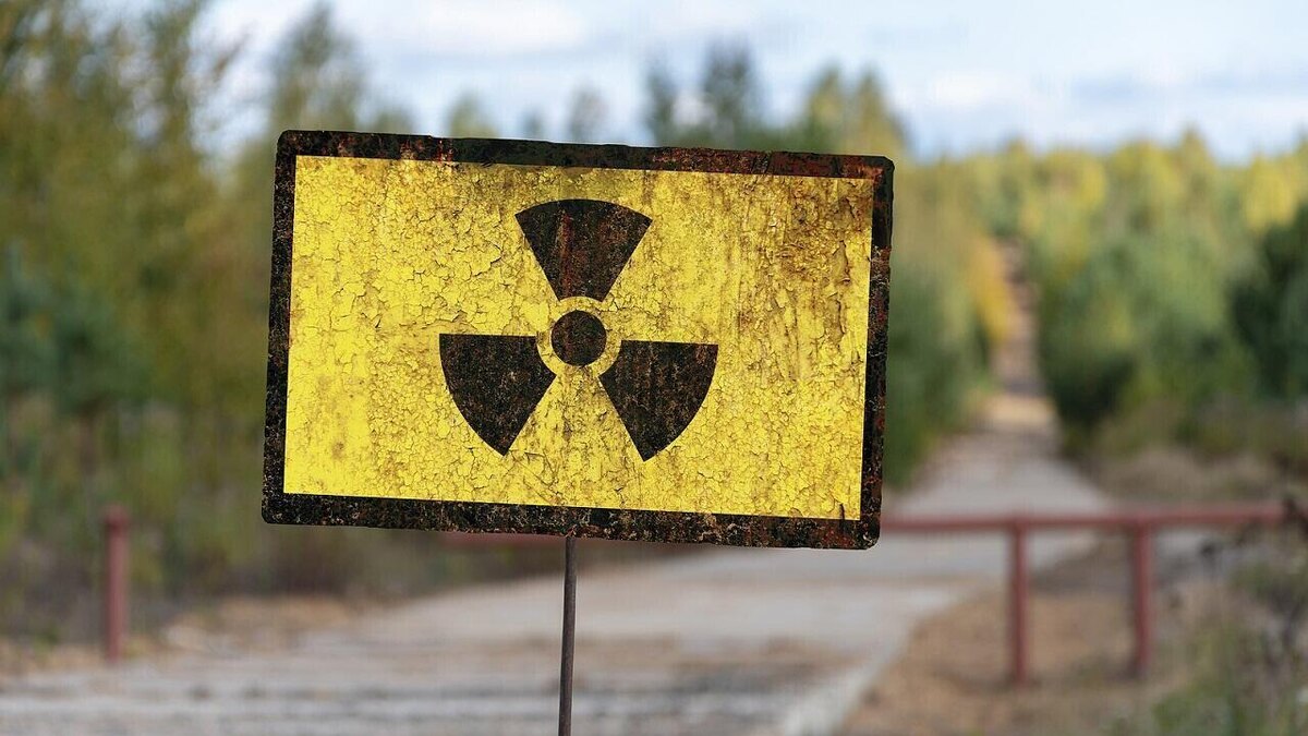 В Беларуси исключили из списка радиационно опасных более 1,3 тыс. гектаров земли