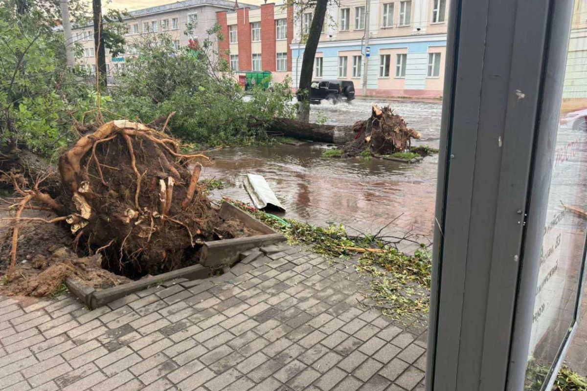 По Витебской и Могилевской области прошел ураган. Есть жертвы