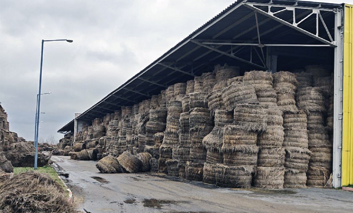 Против руководства льнозавода возбудили уголовное дело за порчу льна на 5 млн рублей