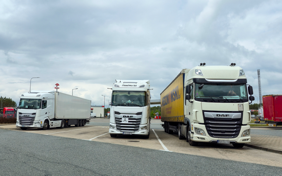 Беларусь подключат к европейской цифровой системе разрешений грузоперевозок