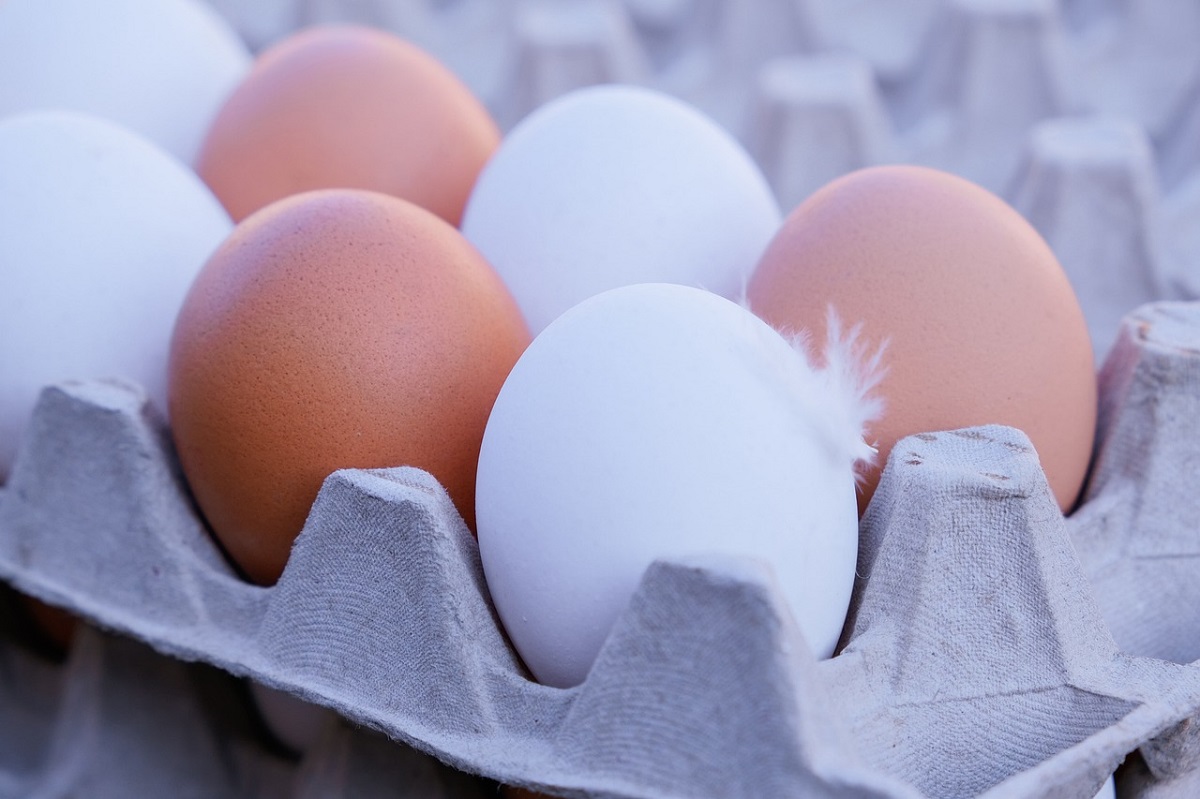 С начала года поставки куриных яиц из Беларуси в Россию выросли вдвое