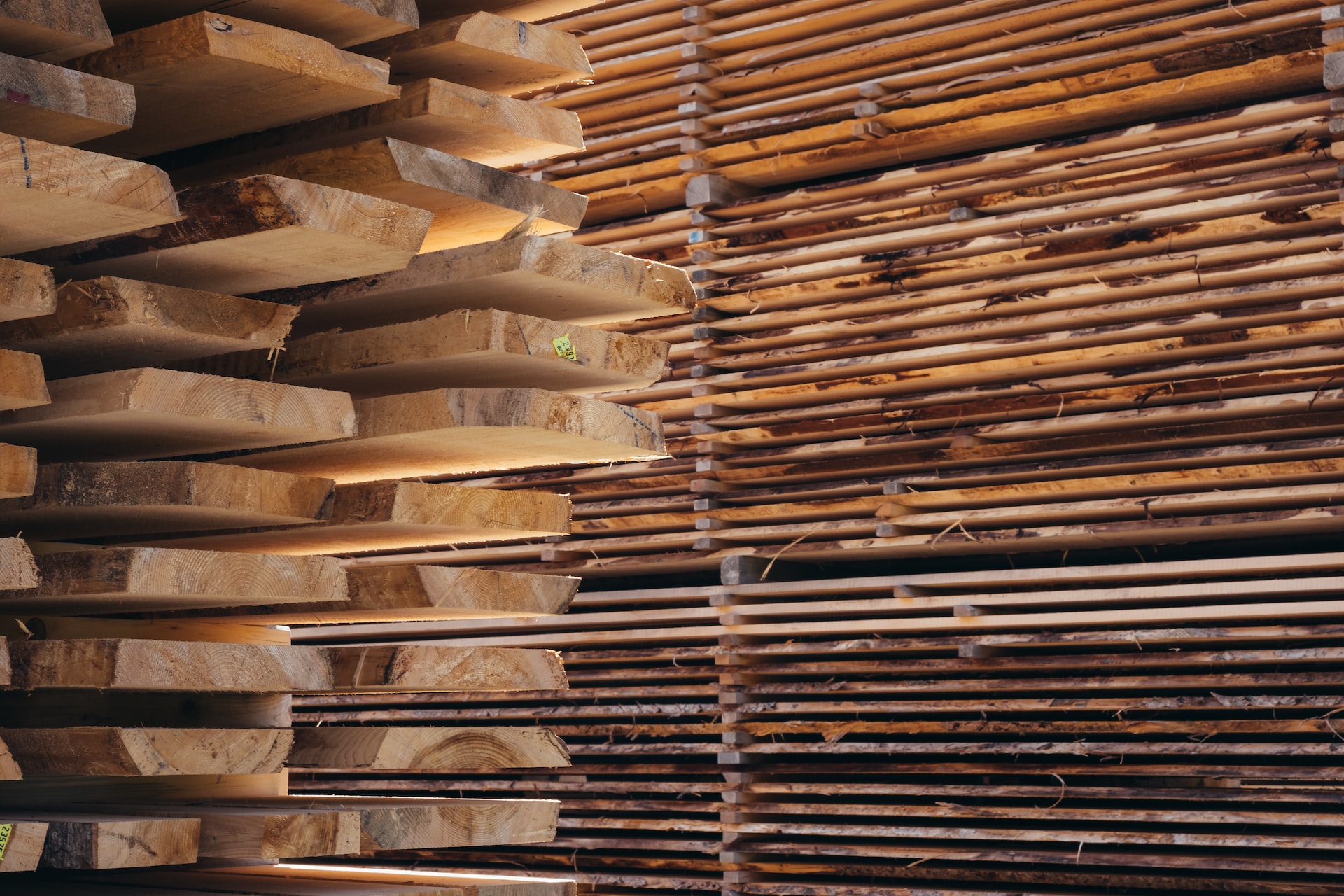 Беларусь нашла новых покупателей древесины на Востоке