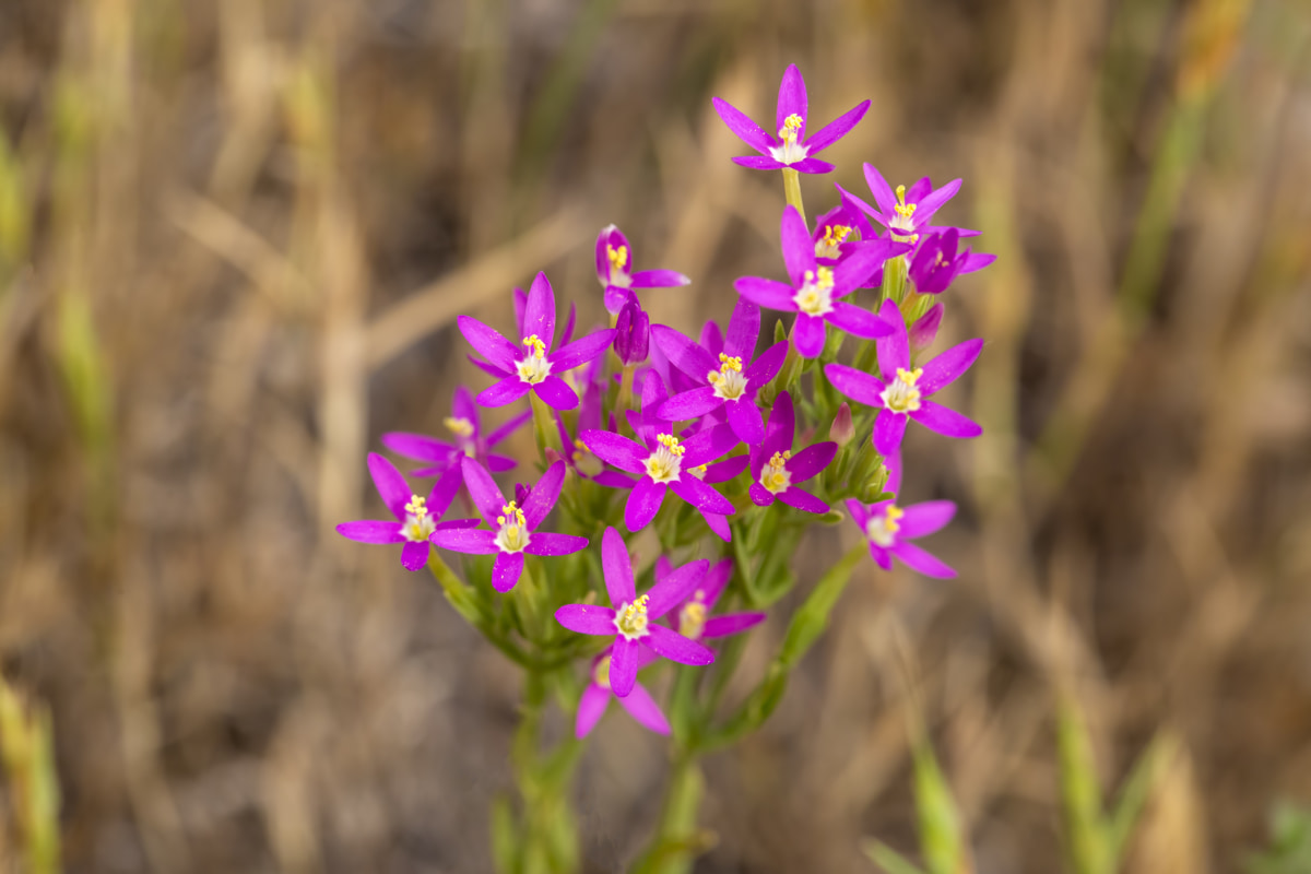 «Не сиди на холодном и забудь про стринги»: 8 главных мифов о цистите комментирует врач-уролог