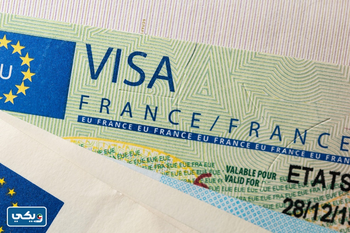 Посольство Франции в Беларуси изменило процедуру подачи заявок на получение виз