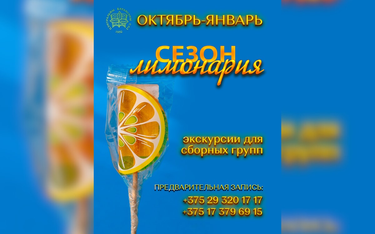 Как мужское эго переписывает историю и что делать, если устали от осени: афиша на неделю