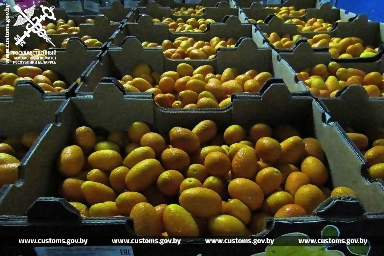 В Беларусь пытались незаконно провезти 3 тонны кокосов и 20 тонн арбузов