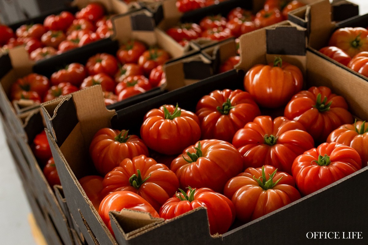 Об этих белорусах Netflix мог бы снять сериал. Вдохновляющая история про семейный бизнес, красивые огурцы и про то, что нет ничего невозможного 