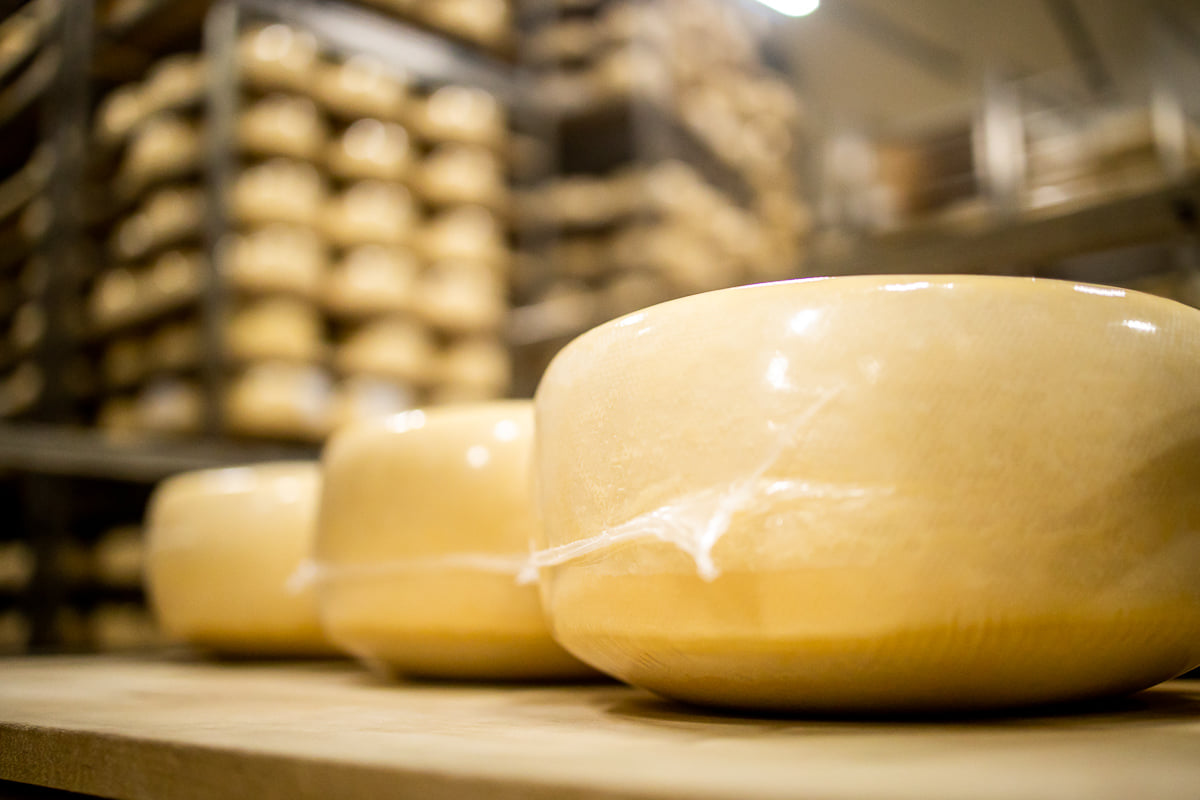 Как в Верхнедвинске делают «Пармезан», синий сыр и готовятся выпустить аналог «Джугаса»