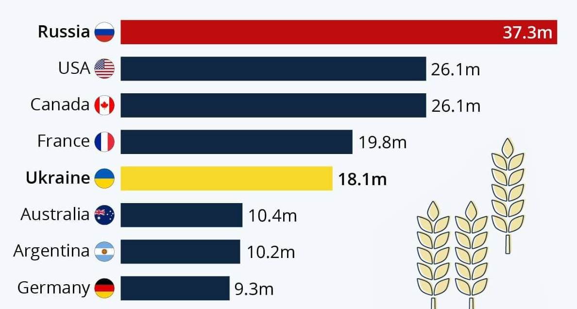 Крупнейшие в мире экспортеры пшеницы