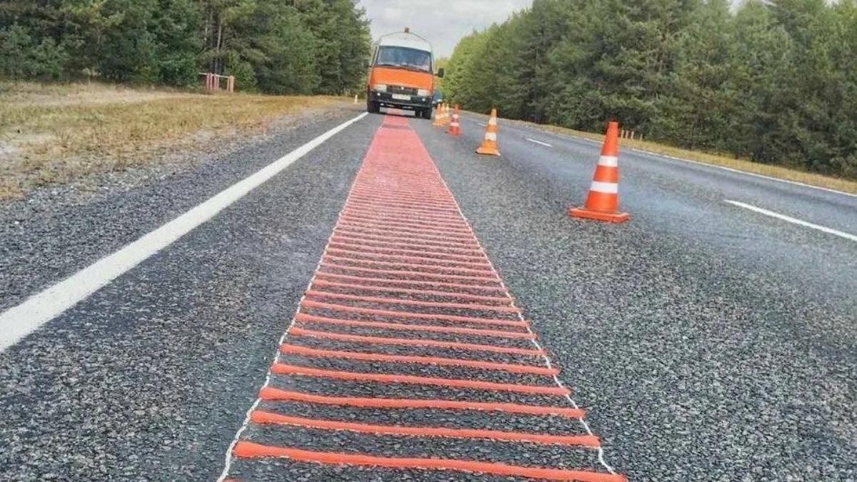 На дорогах Беларуси появится еще один «музыкальный» участок. Теперь возле Беловежской пущи