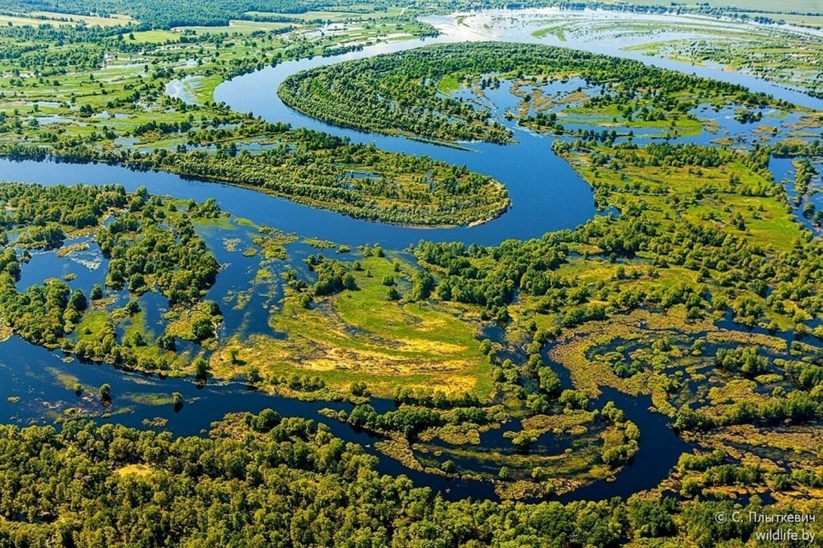Половодье еще не&nbsp;началось, а&nbsp;в&nbsp;Беларуси уже очередь на&nbsp;море Геродота и&nbsp;сплавы на&nbsp;байдарках