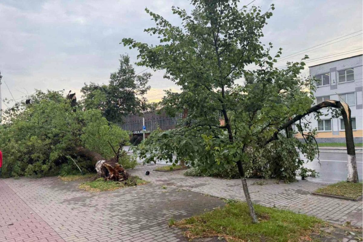 По Витебской и Могилевской области прошел ураган. Есть жертвы