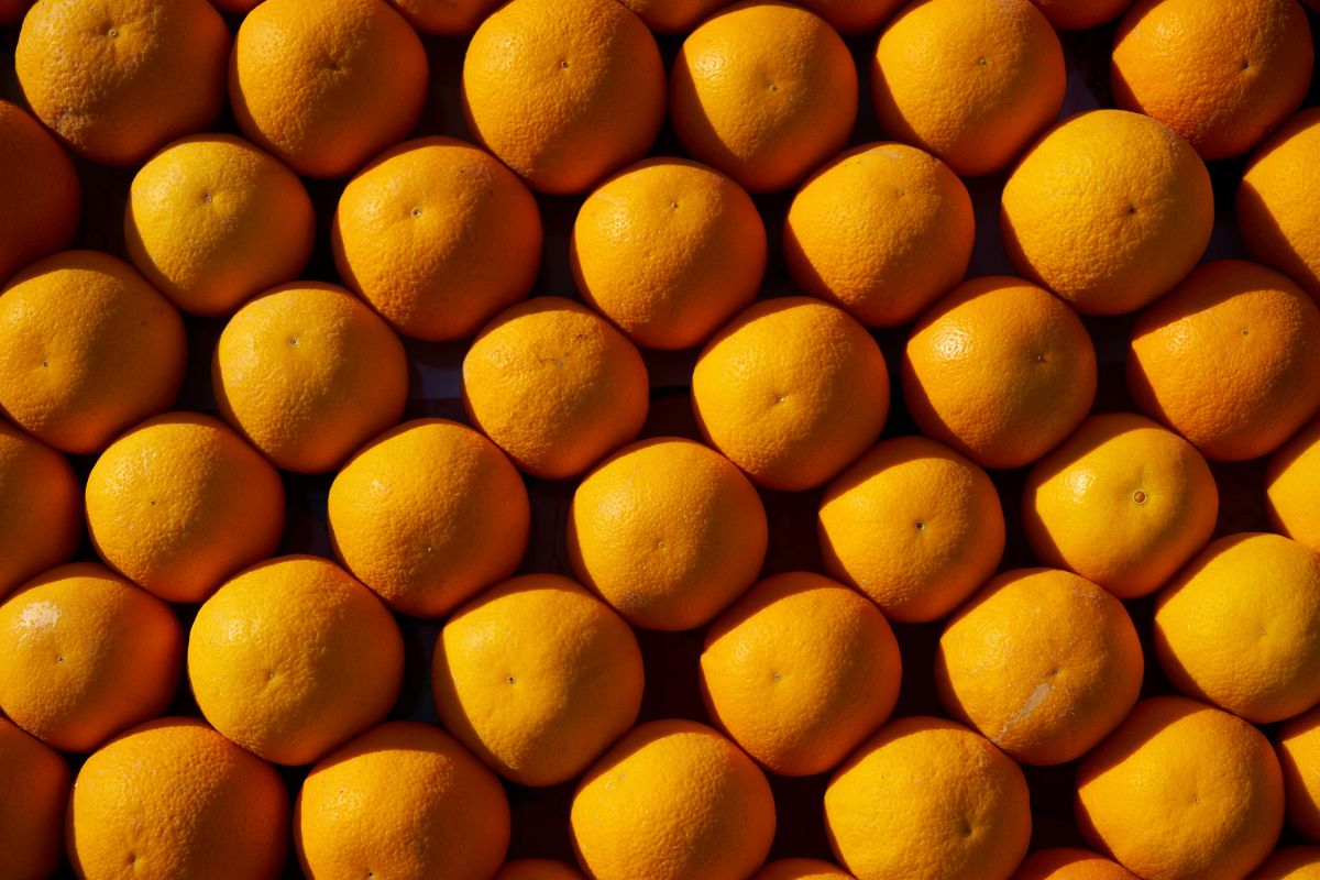 Через белорусскую биржу впервые продали партию апельсинов