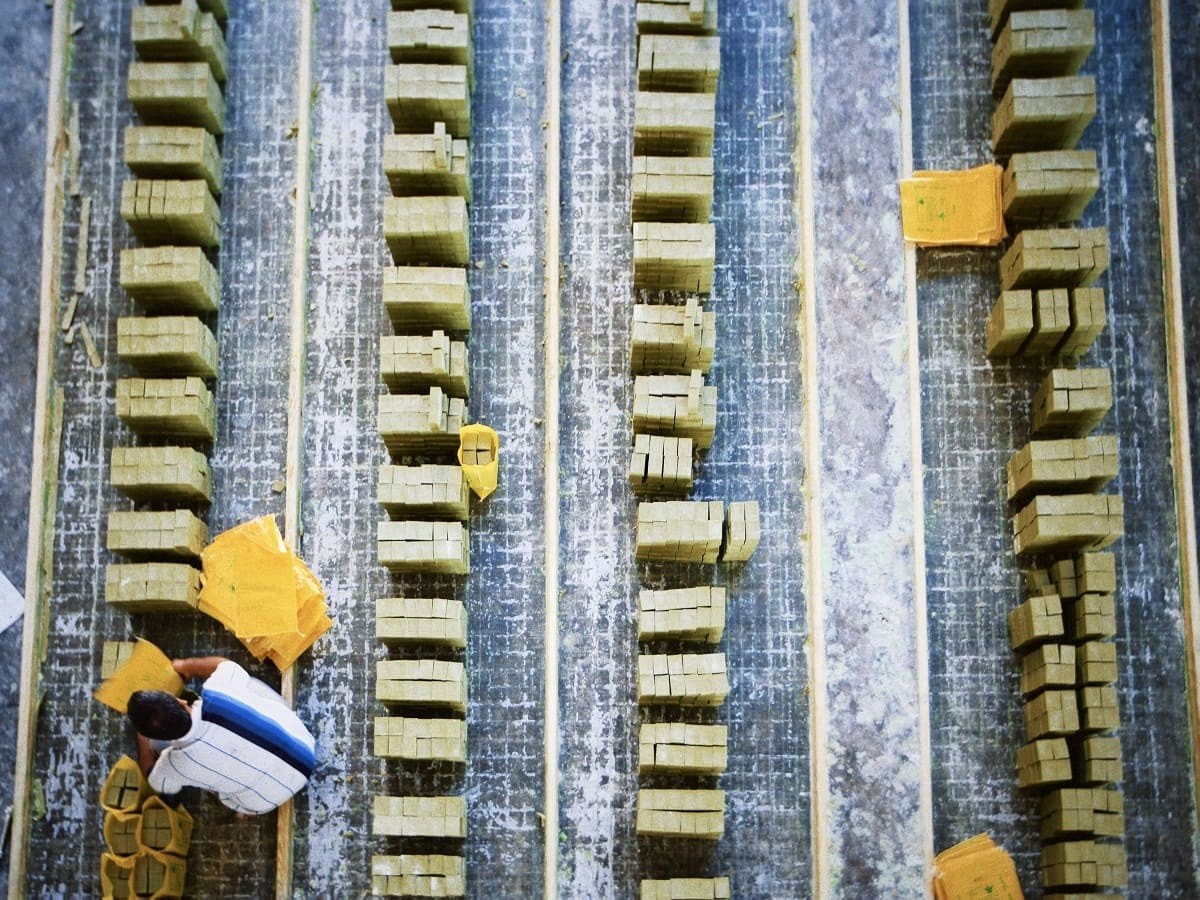 Масштабирование «Морских сезонов» и новая работа Мельничека – бизнес-неделя от OL