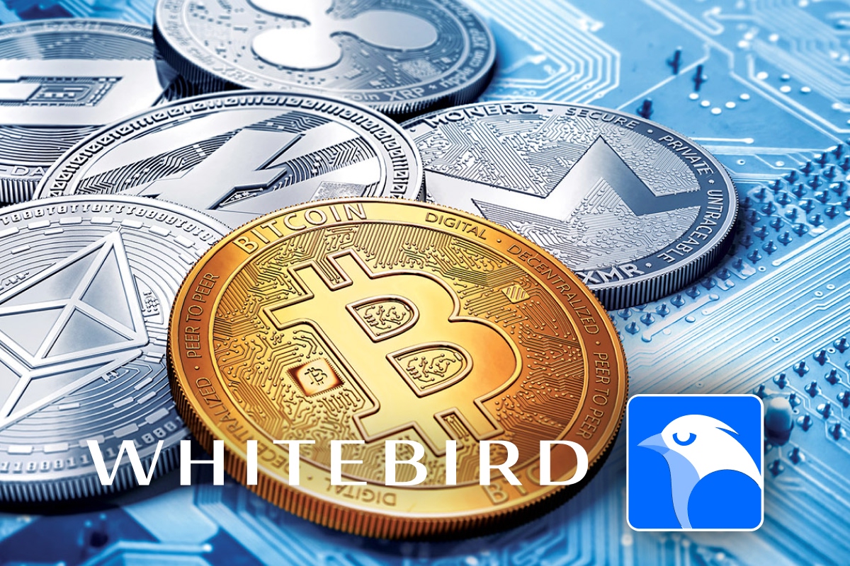 Как за пять лет изменился крипторынок Беларуси. Рассказываем на примере компании Whitebird