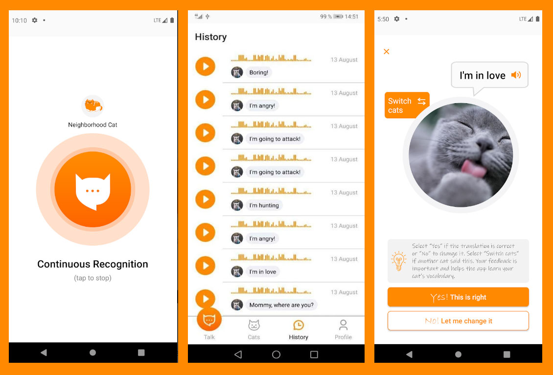 Создано приложение, которое обещает «переводить» кошачье мяуканье