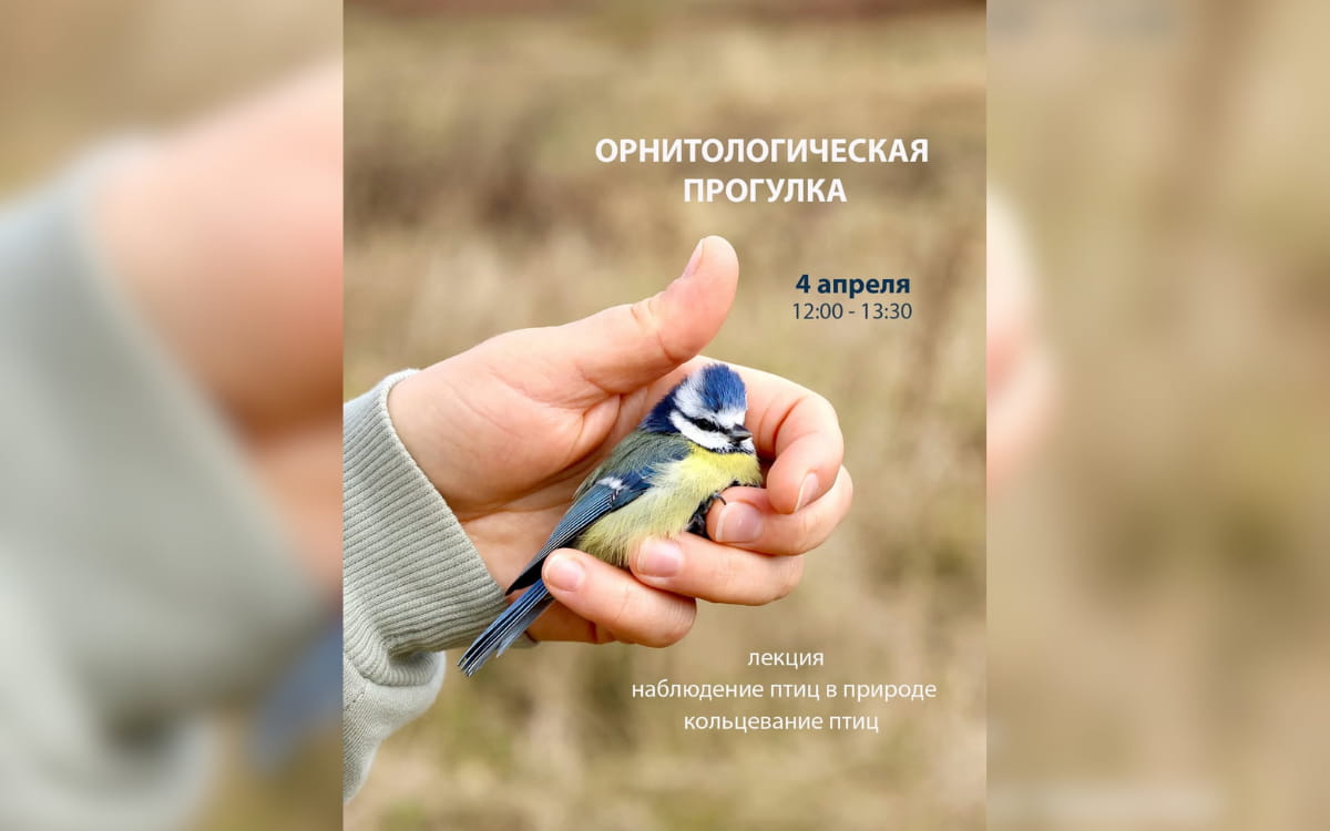 Джаз в&nbsp;музее и&nbsp;кольцевание птиц на&nbsp;Минском море: афиша с&nbsp;30&nbsp;марта по&nbsp;5&nbsp;апреля