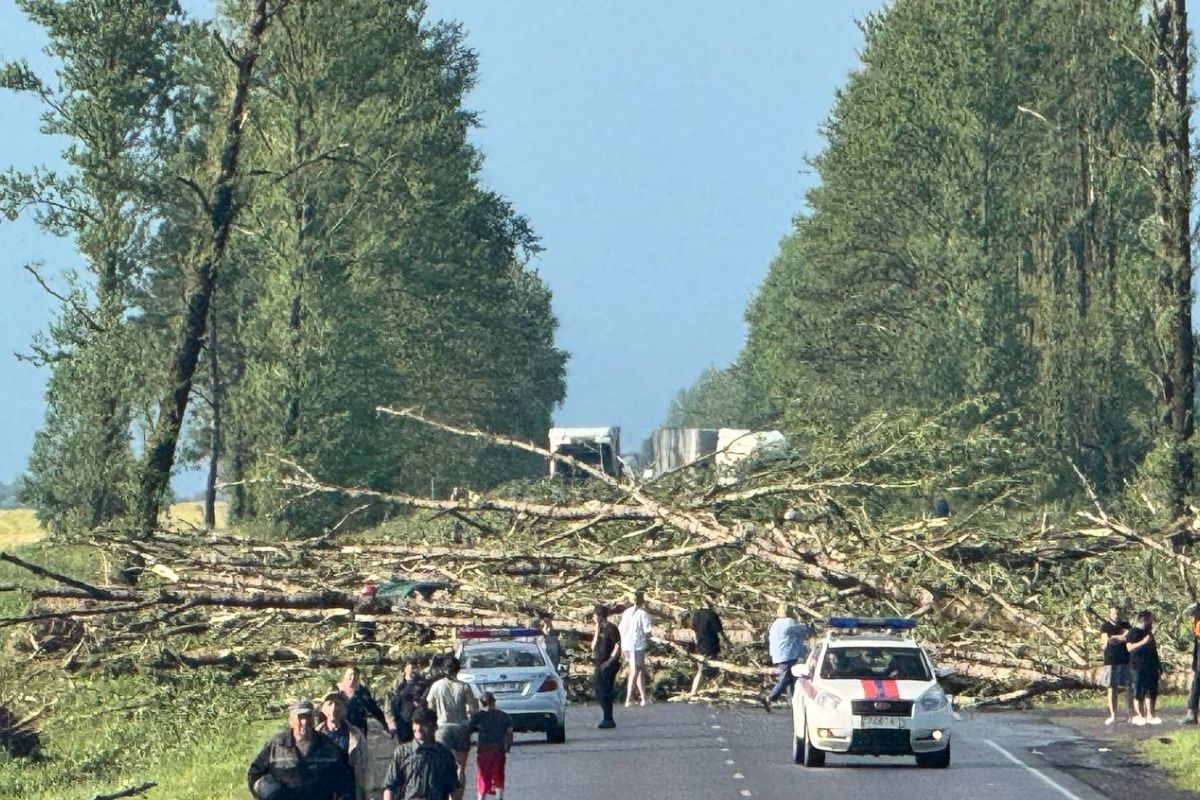 По Витебской и Могилевской области прошел ураган. Есть жертвы