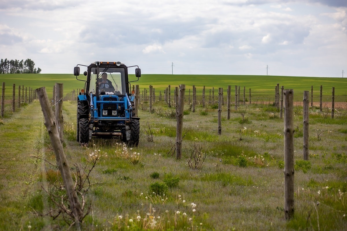 В Беларуси скорректировали перечень запрещенных для подростков работ