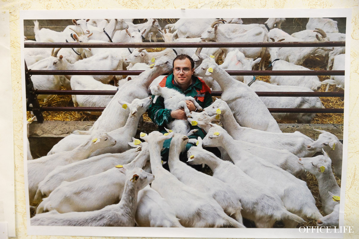 «Купите нас, недорого!» Что случилось с успешной козьей фермой и известным лабиринтом «Кукуполис»