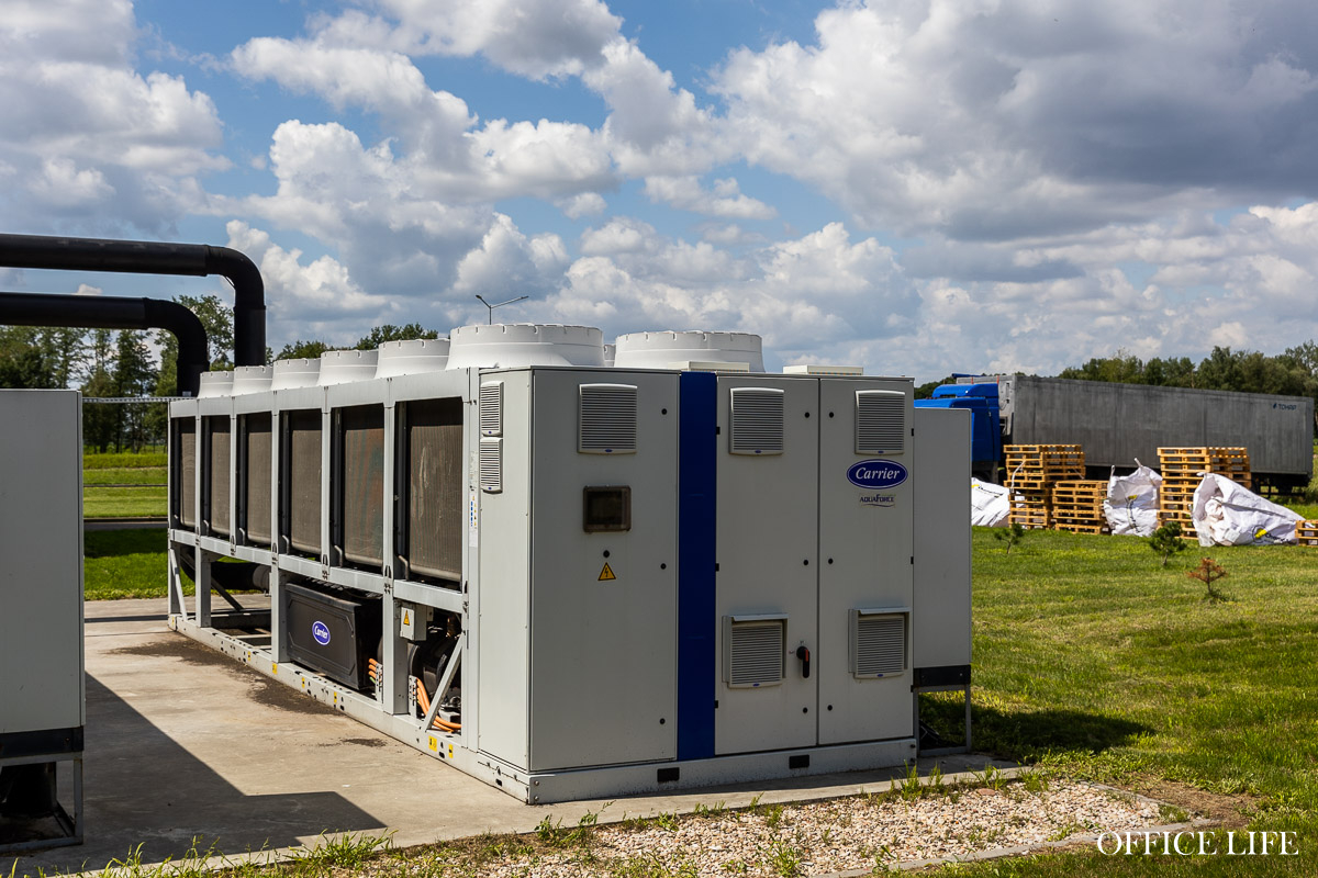 Шампиньон растет 31 день. Как под Кобрином делают грибницу с искусственным интеллектом