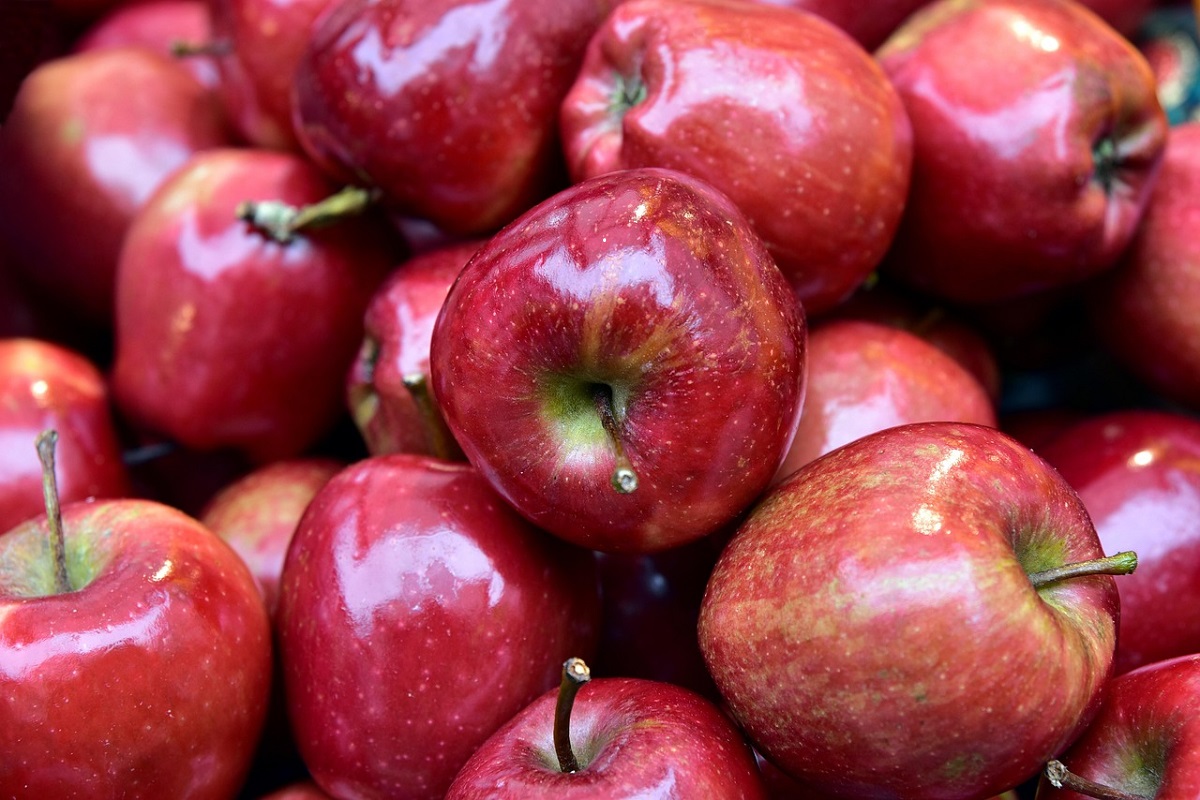 В Польше сообщили о возобновлении поставок яблок в Беларусь