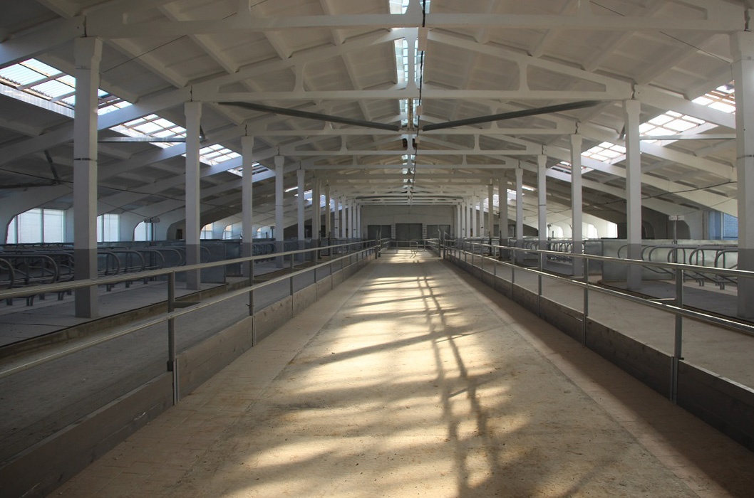 Молочно-товарную ферму на солнечных батареях построили в Кореличском районе