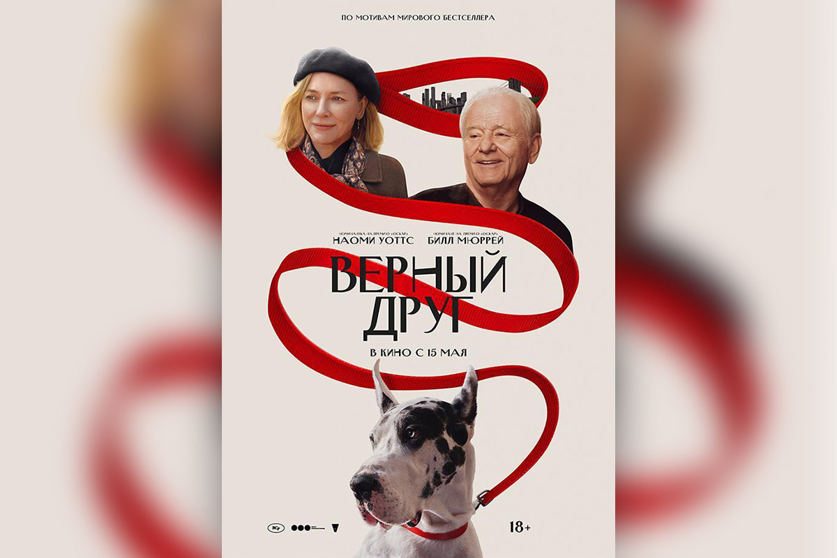 Не пропустить Ночь музеев и послушать музыку под звездами. Культурная афиша с 12 по 18 мая