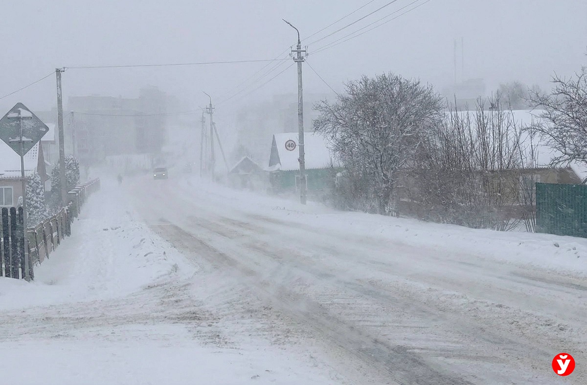 На Беларусь обрушился циклон «Улли» (фото)