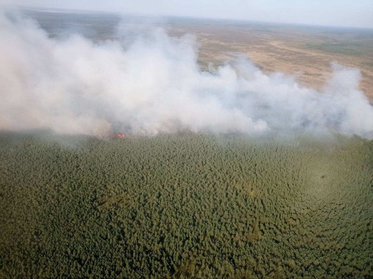 Крупный пожар на Полесье потушили за сутки