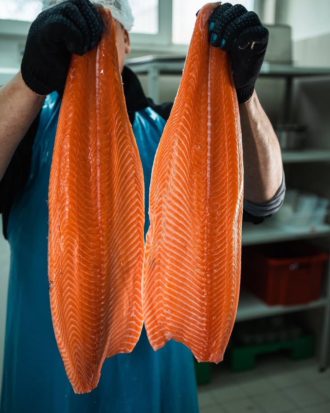 «Развод не трагедия. Трагедия, когда рыба в фуре тухнет!» Как семейная пара создала сеть рыбных магазинов