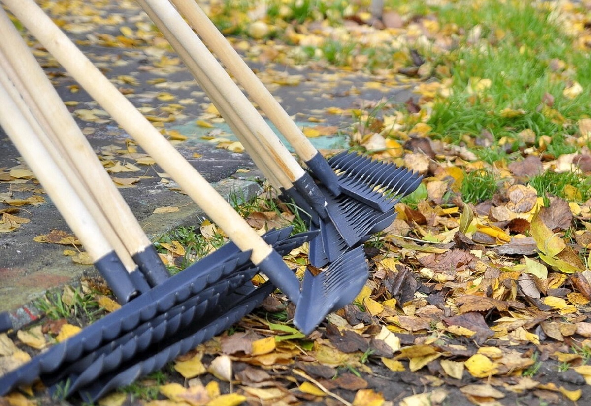 Стало известно, когда в Беларуси пройдет республиканский субботник