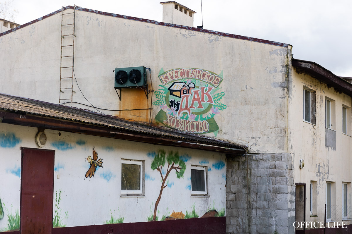 «Купите нас, недорого!» Что случилось с успешной козьей фермой и известным лабиринтом «Кукуполис»