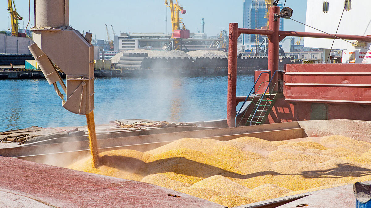 SWIFT, доступ в порты и другие условия: что хочет Россия за сохранение зерновой сделки