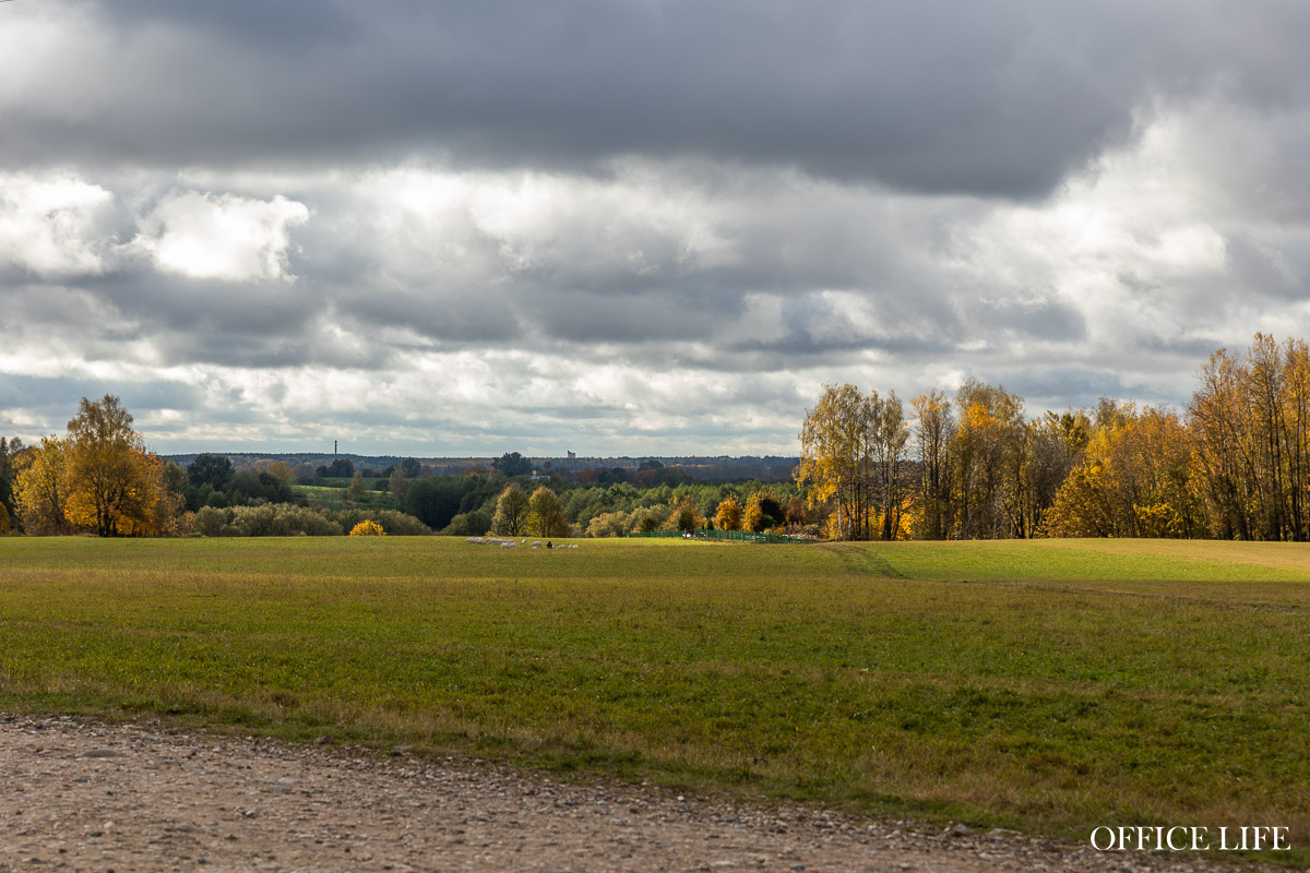 «Купите нас, недорого!» Что случилось с успешной козьей фермой и известным лабиринтом «Кукуполис»