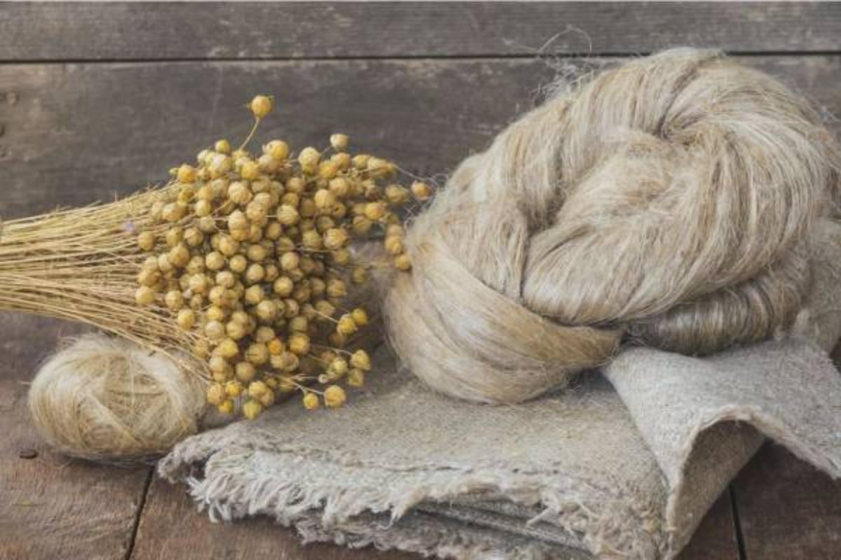 В Беларуси запустят пилотный проект по экспорту льноволокна
