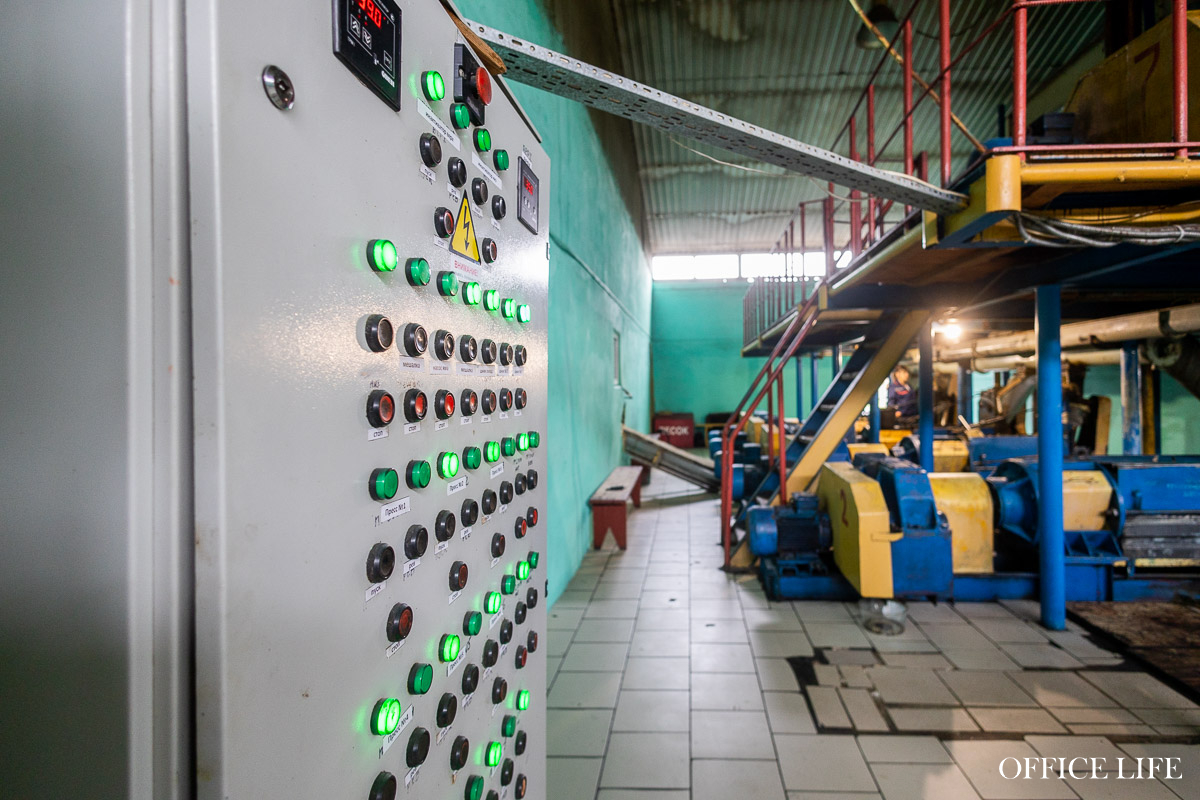 «Захотелось стать нефтяным магнатом». Как бывший банкир купил неработающий завод и стал производить рапсовое масло