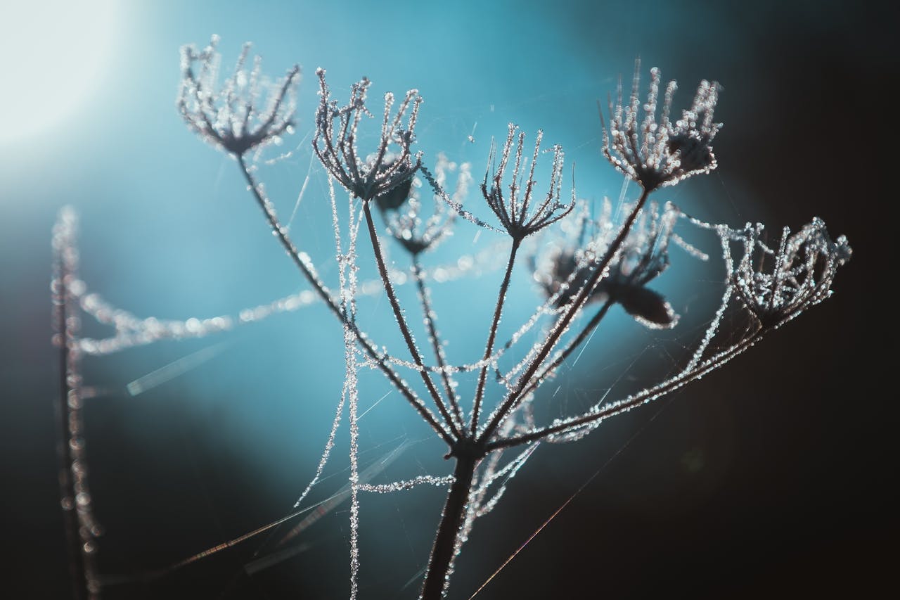 «Такой холодный май бывает раз в 8 лет». В Белгидромете объяснили, что с погодой в Беларуси