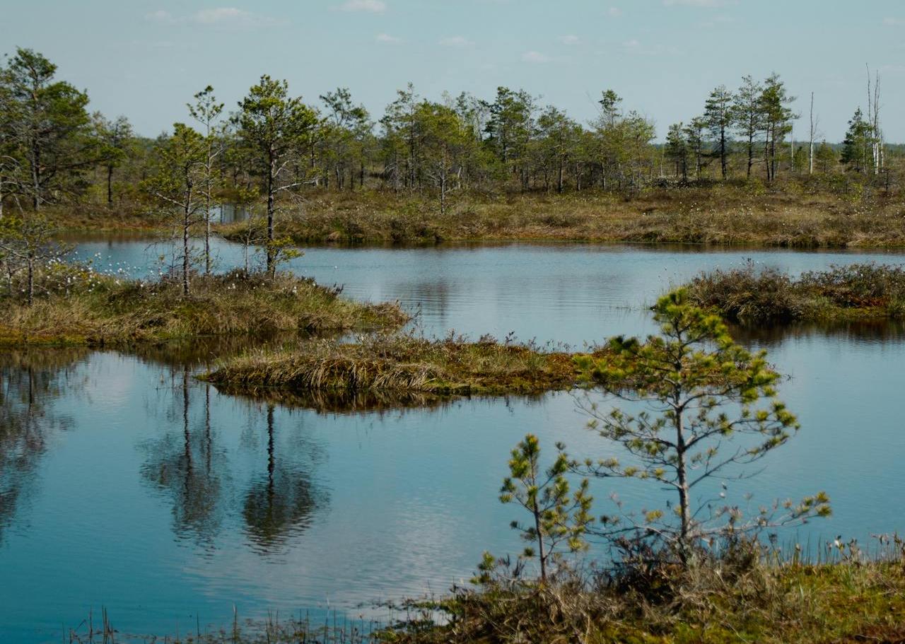 В России снизили финансовые требования к туроператорам, работающим с Беларусью