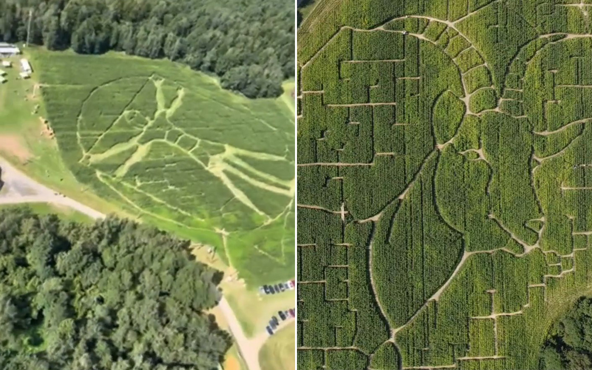 «Купите нас, недорого!» Что случилось с успешной козьей фермой и известным лабиринтом «Кукуполис»