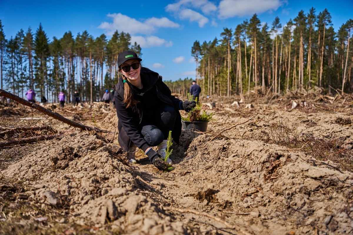 Betera Green Week: восстановление леса в&nbsp;Беларуси и&nbsp;конвертация лайков в&nbsp;деревья. Кейс экологического проекта