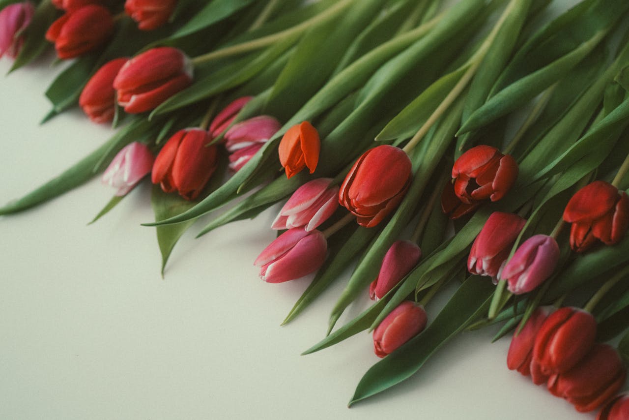 В Беларуси проверили работу продавцов цветов. Какие нарушения нашли