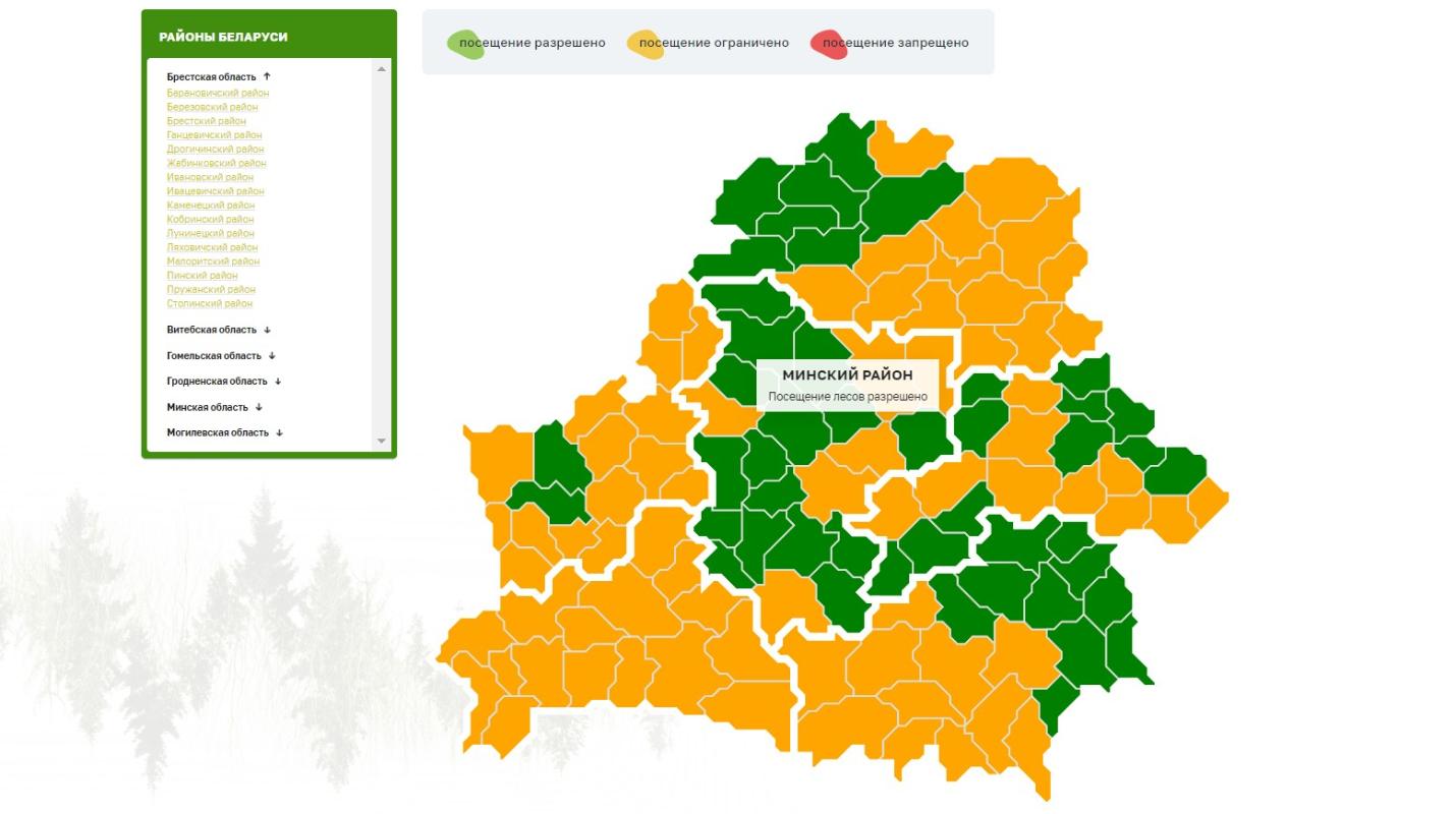 В одной из областей Беларуси ограничили посещение лесов во всех райнах
