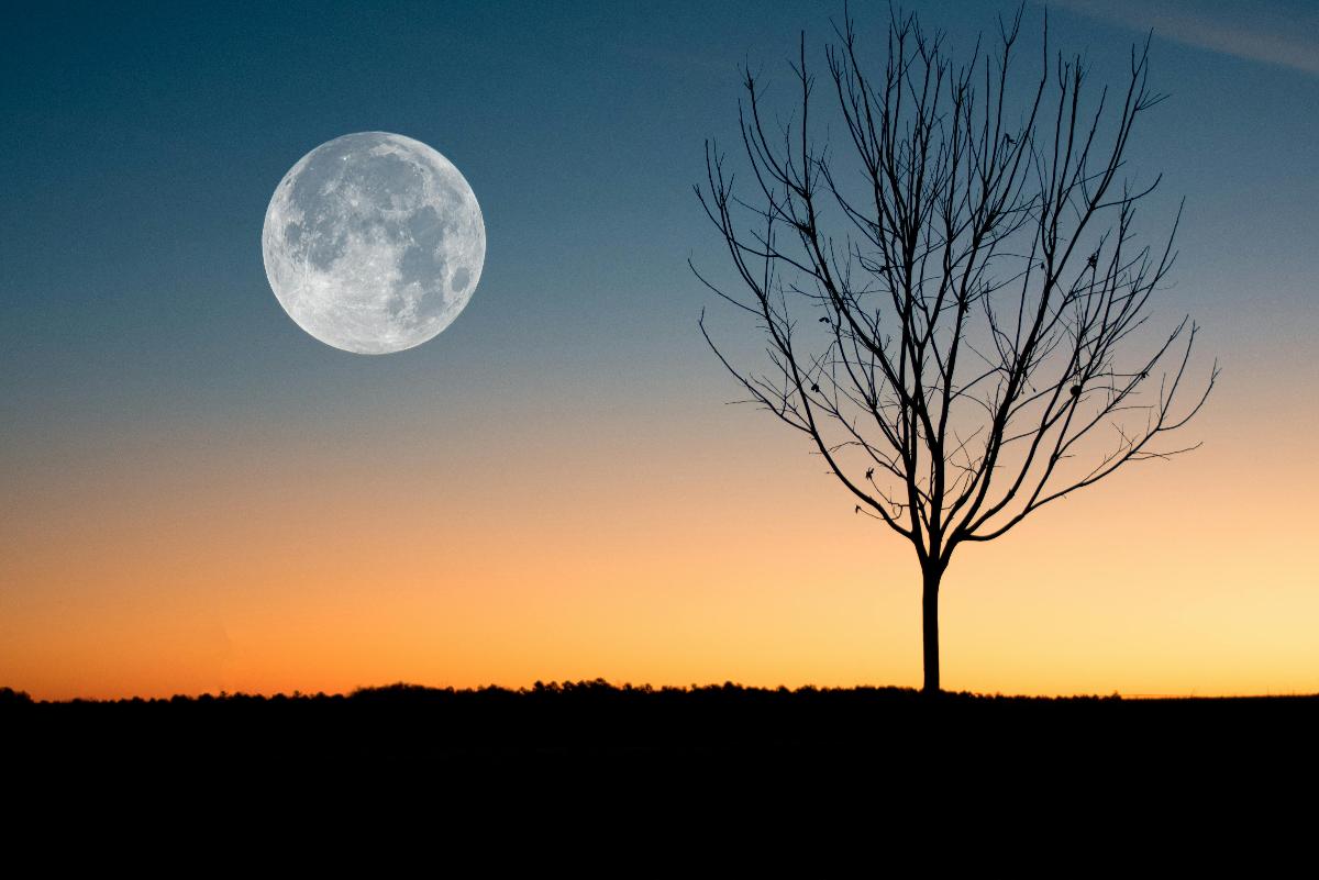 У Луны будет собственный часовой пояс